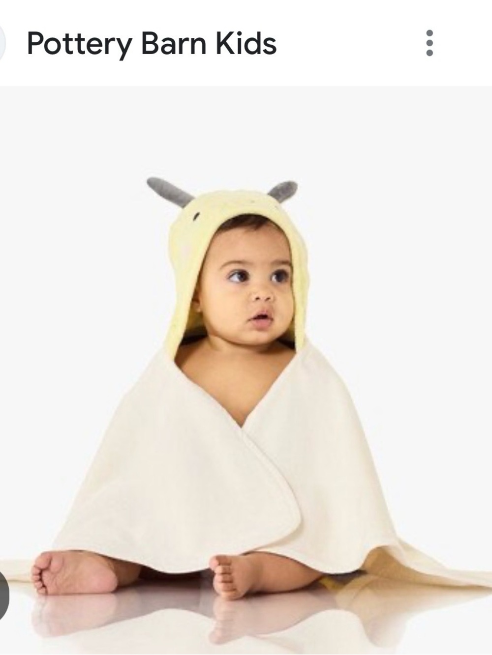 Pottery Barn Kids baby bee Bath Wrap